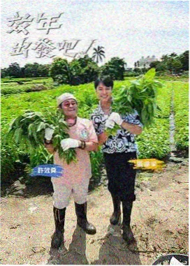 茶杯狐影视 王牌对王牌